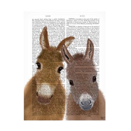 Trademark Fine Art